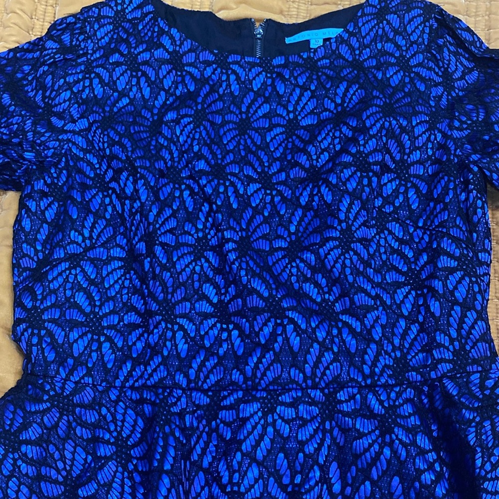 Antonio Melani dress size 10